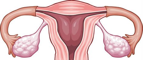 Dor durante a ovulação