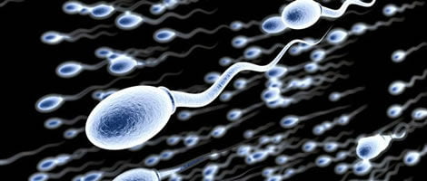 Técnicas de Capacitação do Esperma